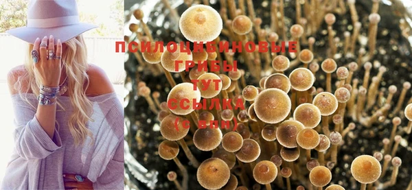MDMA Аркадак