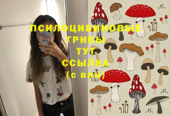 MDMA Аркадак