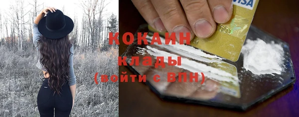 трава Осинники