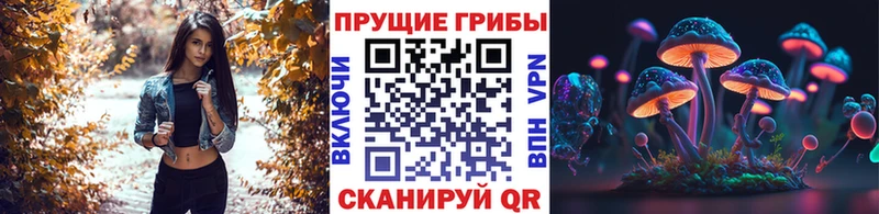 Псилоцибиновые грибы Psilocybe  мега сайт  Хилок  купить  сайты 